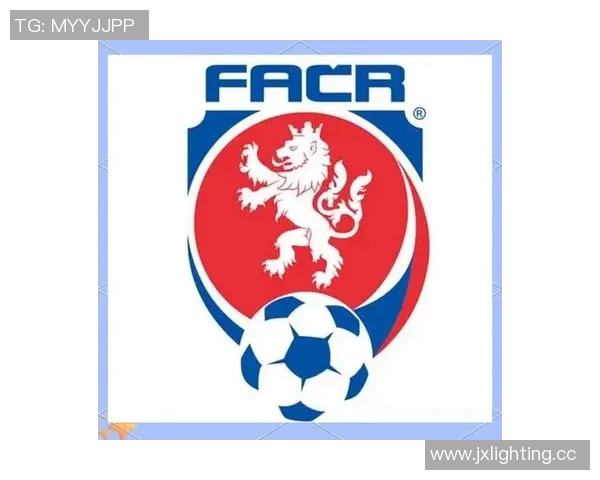 欧洲杯历程回顾与未来展望：从辉煌历史到崭新挑战